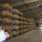 cambria_068 (November 02, 2018)